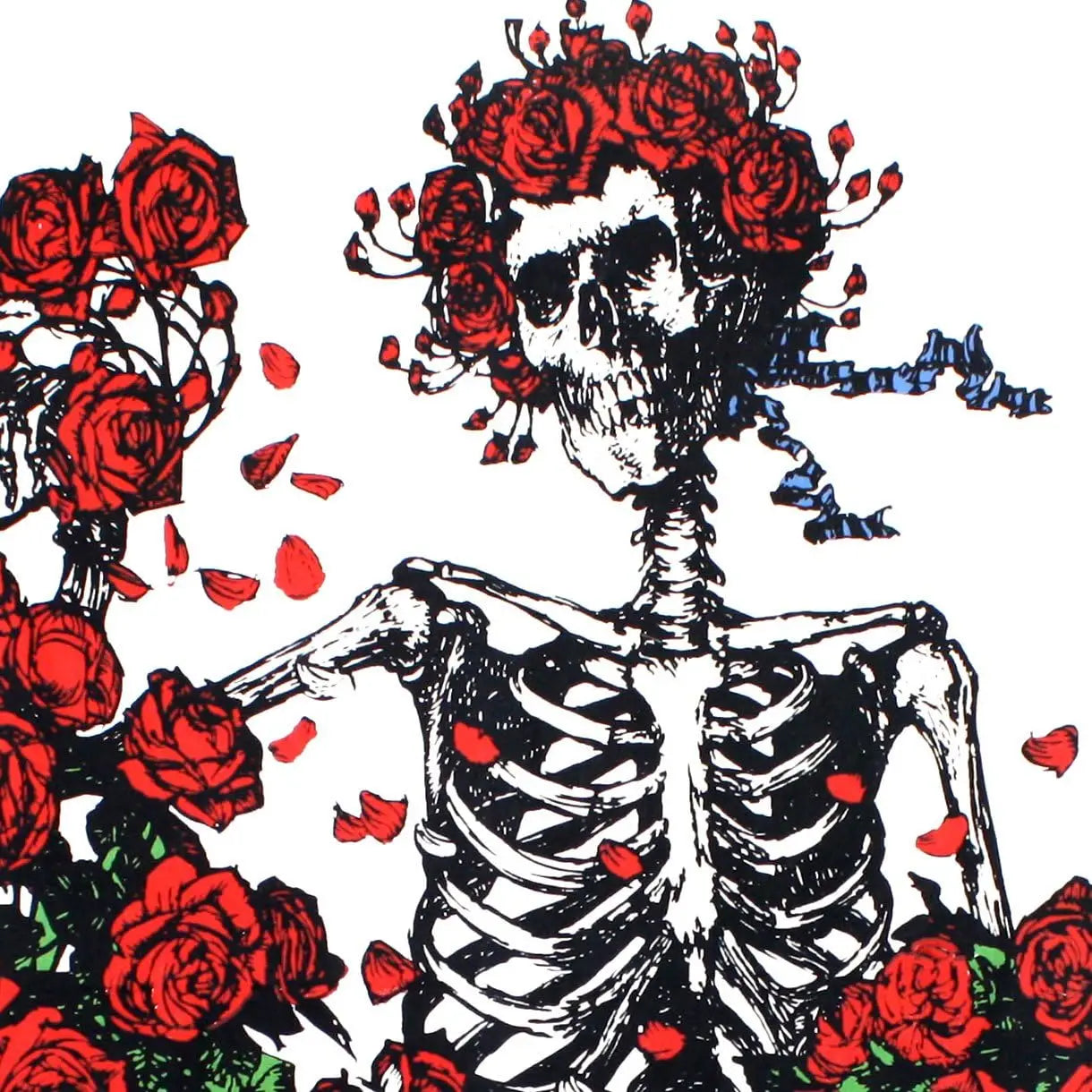 Tapestry Grateful Dead Skeleton and Roses Tapestry Wall Art  60x90 Inches